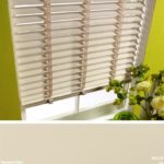 Basswood Style 50 b Len