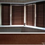 Basswood Style 50 orech